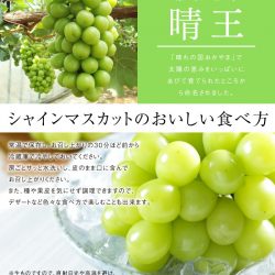 Japanese Shine Muscat Grape