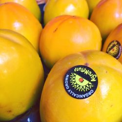 AgroNature Organic Kaki Persimmon AgroNature Organic Kaki Persimmon