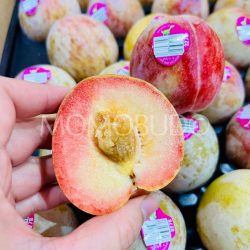 Dino brand® Autumn Honey Pluot cross section Dino brand® Autumn Honey Pluot cross section