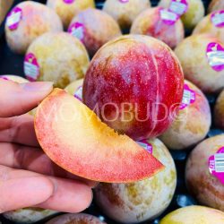 Dino brand® Autumn Honey Pluot slice Dino brand® Autumn Honey Pluot slice