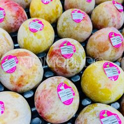 Dino brand® Autumn Honey Pluots Dino brand® Autumn Honey Pluots