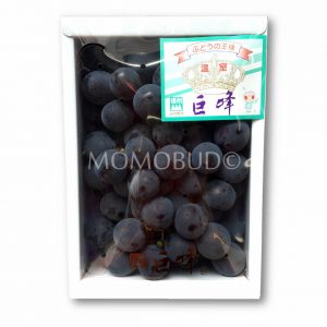 Greenhouse Nagano Kyoho Grapes