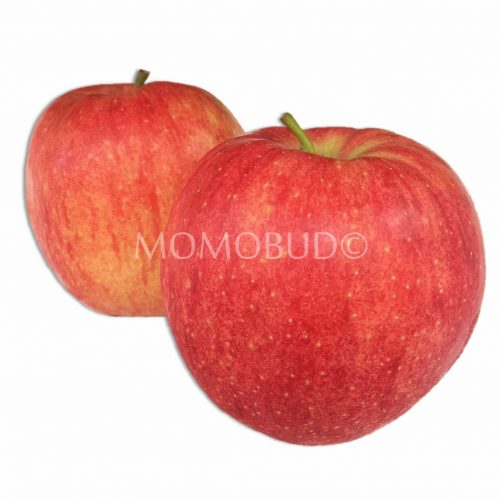 Japanese Jonagold Apple Japanese Jonagold Apple