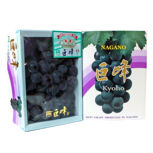 Japanese Kyoho Seedless Grape