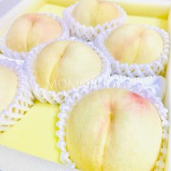 Japanese Okayama Yume Kaori White Peach