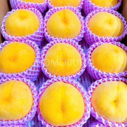 Japanese OugonBijin Golden Peaches Japanese OugonBijin Golden Peaches