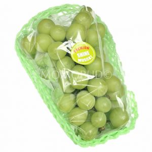Korean Shine Muscat