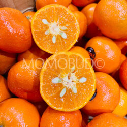 Venus Afourer Mandarin Orange cross section