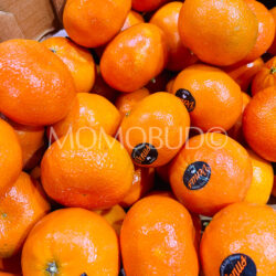 Venus Afourer Mandarin Oranges