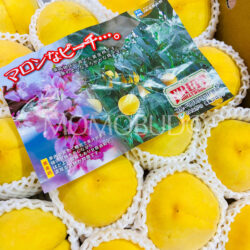 Japanese Nagano Marron Golden Peach Brochure Japanese Nagano Marron Golden Peach Brochure