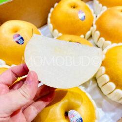 Korean Won Hwang Pear slice
