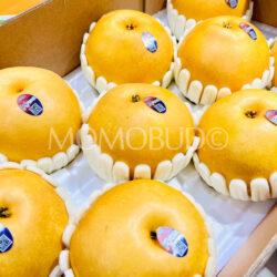 Korean Won Hwang Pears