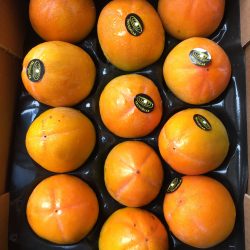 Spain Rojo Brillante Persimmon