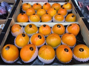 The Natural Hand Kaki Persimmon