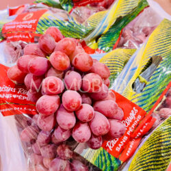 USA Timco Red Seedless Grapes USA Timco Red Seedless Grapes