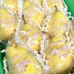 Japanese Le Lectier Pear