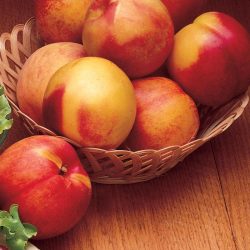 Nectarine  basket