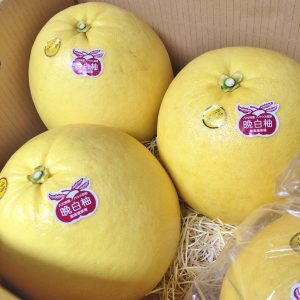 Japanese Banpeiyu (Pomelo)