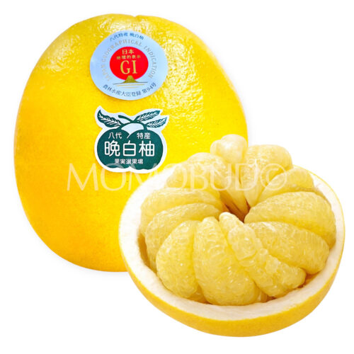 Japanese Kumamoto Banpeiyu Pomelo Japanese Kumamoto Banpeiyu Pomelo