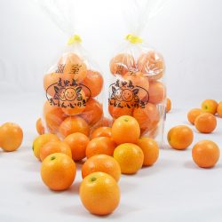 Kumquat Fruit
