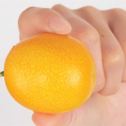 Kumquat Fruit Size