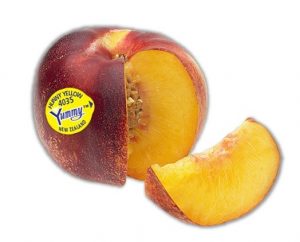 Yummy™ Hunny Yellow Nectarine