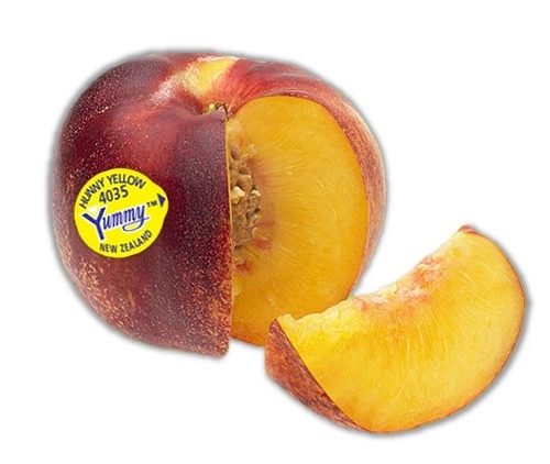 Yummy™ Hunny Yellow Nectarine Yummy™ Hunny Yellow Nectarine