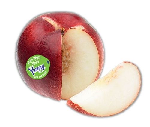 Yummy™ Pearl White Nectarine Yummy™ Pearl White Nectarine