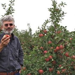 Farmer of High Quality Fuji fruit