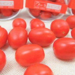 Japanese Amela Rubins Tomato