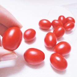 Japanese Amela Rubins Tomato Size