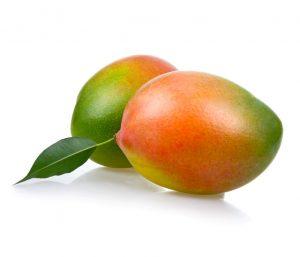 Keitt mango 1