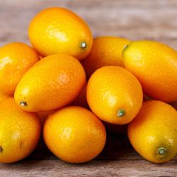 Fresh Kumquats Fresh Kumquats