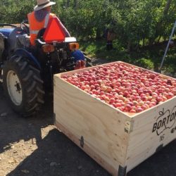 Harvesting Time