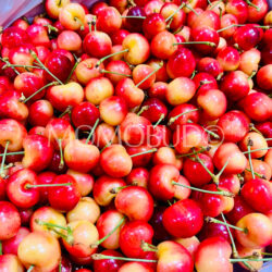 California Pride Pack Rainier Cherries