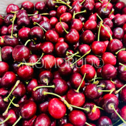 California Royal Lynn Red Cherries California Royal Lynn Red Cherries