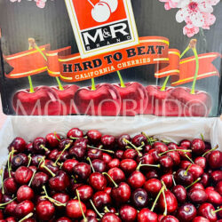 California Royal Lynn Red Cherry Box (5kg) California Royal Lynn Red Cherry Box (5kg)