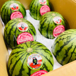 Japanese Pino Girl™ Watermelons Japanese Pino Girl™ Watermelons