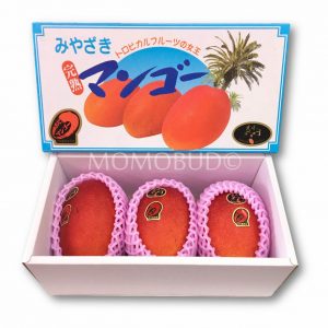 Miyazaki Mango (Taiyo no Tamago)