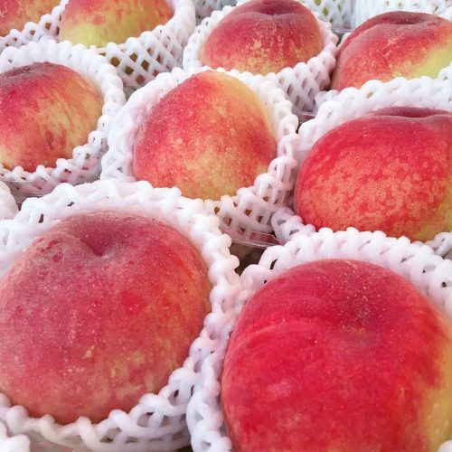 Japanese Hanayome White Peach — MomoBud