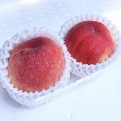 Daitouryou Chiyohime White peach 3