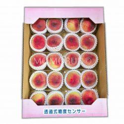 Japanese Chiyohime White Peach (Daitouryou) Box