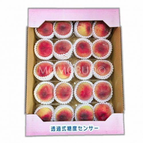 Japanese Chiyohime White Peach (Daitouryou) Box