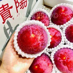 Japanese Yamanashi Kiyou Plum