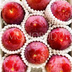 Japanese Yamanashi Kiyou Plums