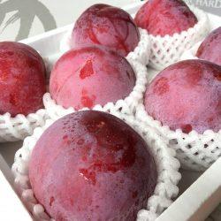 Japanese Yamanashi Kiyou Plum close up