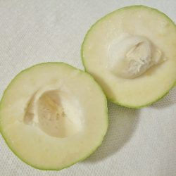 White Sapote