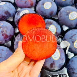 Family Tree Farms® Plumogranate Plumcot cross section 2