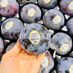 Family Tree Farms® Plumogranate Plumcot on hand