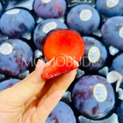 Family Tree Farms® Plumogranate Plumcot side